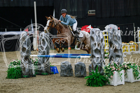 2025 - Haylee - Royal West - Saturday October 25th - 00677