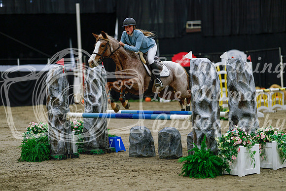 2025 - Haylee - Royal West - Saturday October 25th - 00678