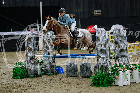 2025 - Haylee - Royal West - Saturday October 25th - 00679