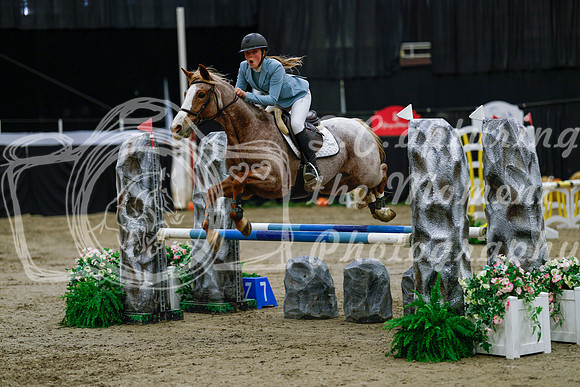 2025 - Haylee - Royal West - Saturday October 25th - 00680