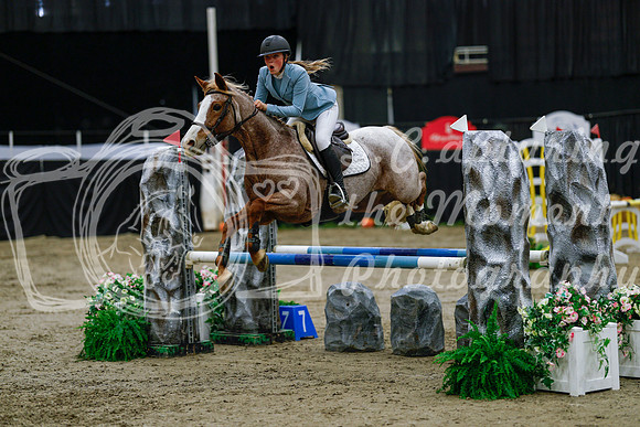 2025 - Haylee - Royal West - Saturday October 25th - 00681