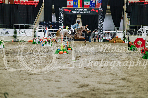 2025 - Haylee - Royal West - Saturday October 25th - 00689