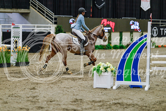 2025 - Haylee - Royal West - Saturday October 25th - 00693