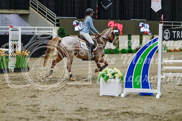 2025 - Haylee - Royal West - Saturday October 25th - 00694