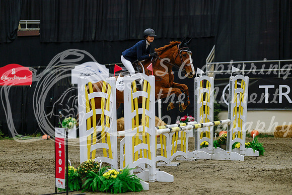 2025 - Haylee - Royal West - Saturday October 25th - 00608