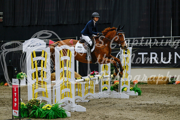 2025 - Haylee - Royal West - Saturday October 25th - 00614