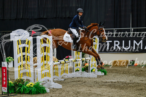2025 - Haylee - Royal West - Saturday October 25th - 00617