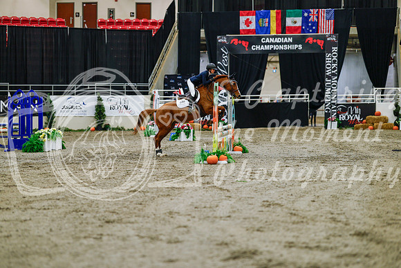 2025 - Haylee - Royal West - Saturday October 25th - 00638