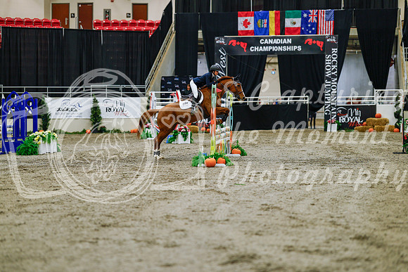 2025 - Haylee - Royal West - Saturday October 25th - 00639
