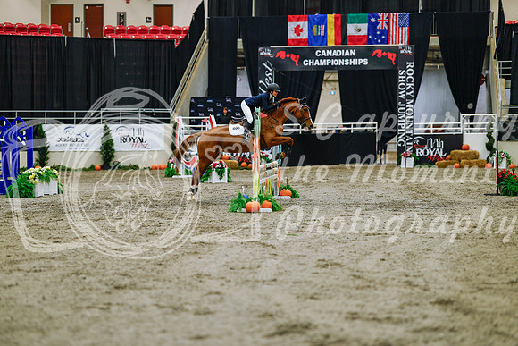 2025 - Haylee - Royal West - Saturday October 25th - 00641
