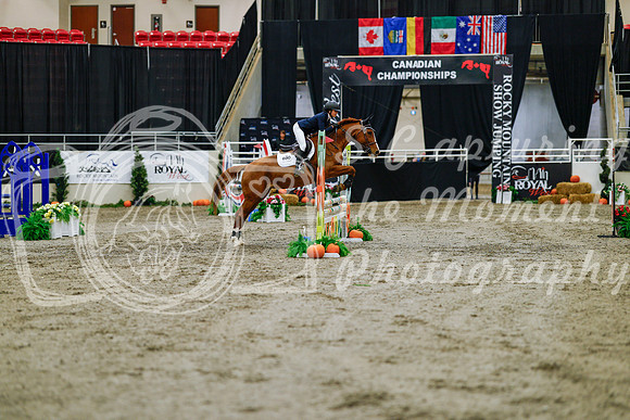 2025 - Haylee - Royal West - Saturday October 25th - 00640