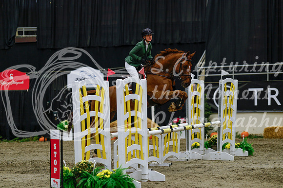 2025 - Haylee - Royal West - Saturday October 25th - 00504