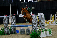 2025 - Haylee - Royal West - Saturday October 25th - 00521