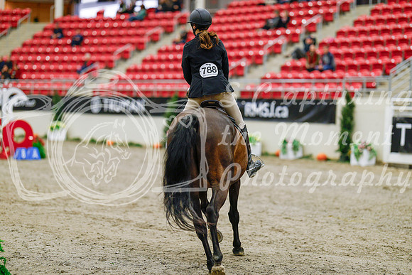 2025 - Haylee - Royal West - Saturday October 25th - 00031