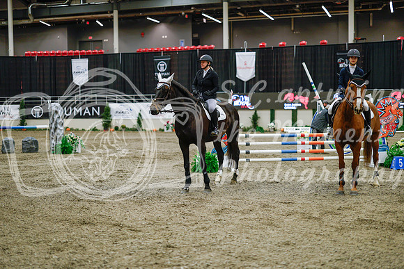 2025 - Haylee - Royal West - Saturday October 25th - 01029