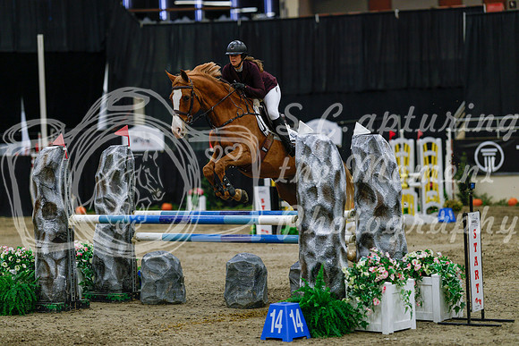 2025 - Haylee - Royal West - Saturday October 25th - 04193_1
