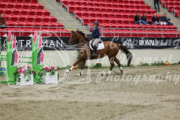 2025 - Shea - Royal West - Saturday October 25th - 01686