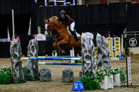 2025 - Haylee - Royal West - Saturday October 25th - 04194_1
