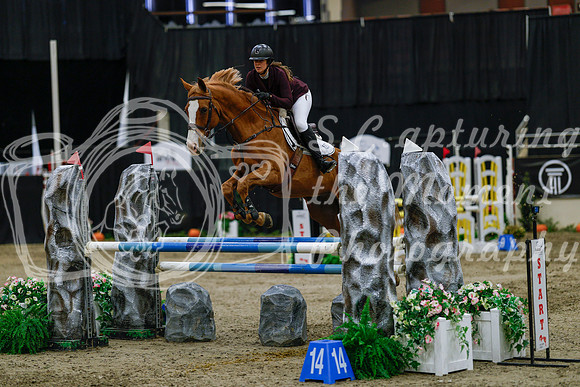 2025 - Haylee - Royal West - Saturday October 25th - 04194_1