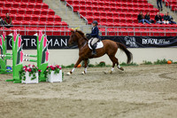 2025 - Shea - Royal West - Saturday October 25th - 01687