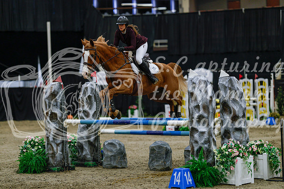 2025 - Haylee - Royal West - Saturday October 25th - 04199_1
