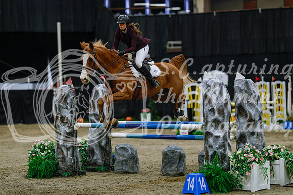 2025 - Haylee - Royal West - Saturday October 25th - 04201_1