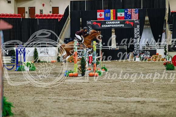 2025 - Haylee - Royal West - Saturday October 25th - 04203_1