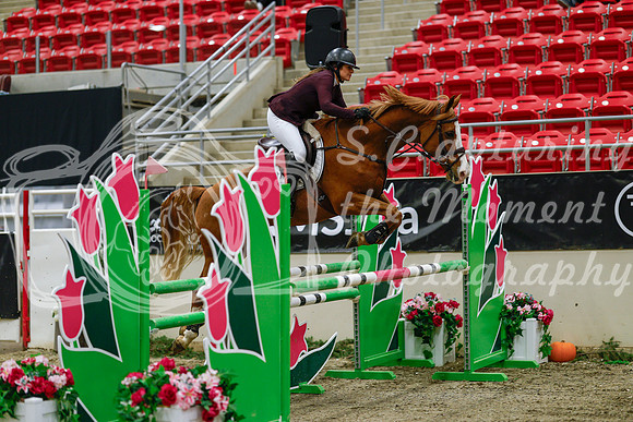 2025 - Haylee - Royal West - Saturday October 25th - 04207_1