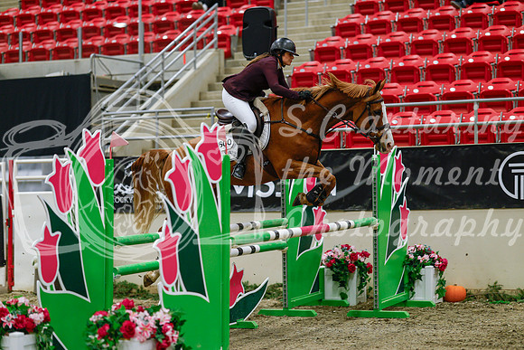 2025 - Haylee - Royal West - Saturday October 25th - 04208_1
