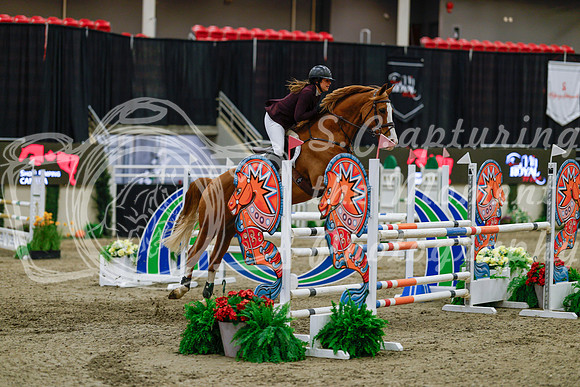 2025 - Haylee - Royal West - Saturday October 25th - 04214_1
