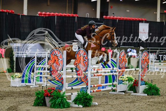 2025 - Haylee - Royal West - Saturday October 25th - 04218_1