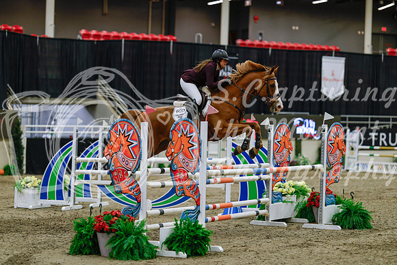 2025 - Haylee - Royal West - Saturday October 25th - 04219_1