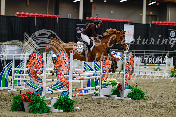 2025 - Haylee - Royal West - Saturday October 25th - 04223_1
