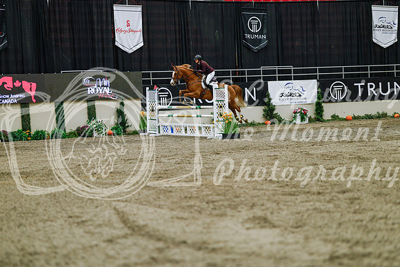 2025 - Haylee - Royal West - Saturday October 25th - 04225_1