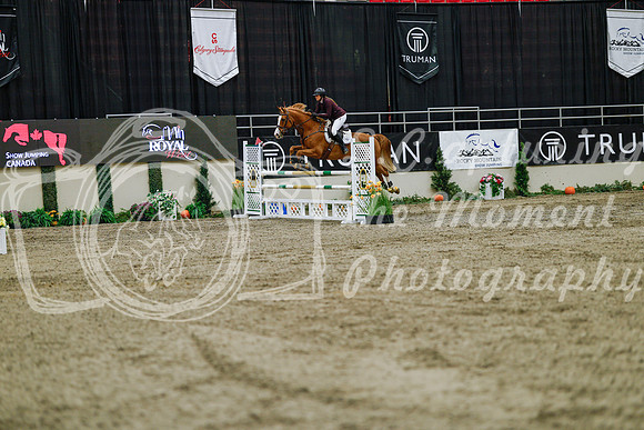 2025 - Haylee - Royal West - Saturday October 25th - 04226_1