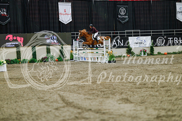 2025 - Haylee - Royal West - Saturday October 25th - 04228_1