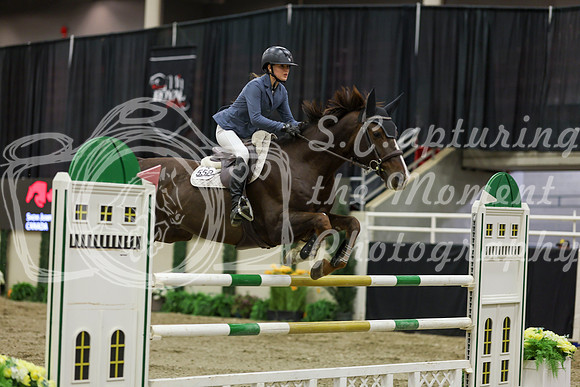 2025 - Shea - Royal West - Saturday October 25th - 06729