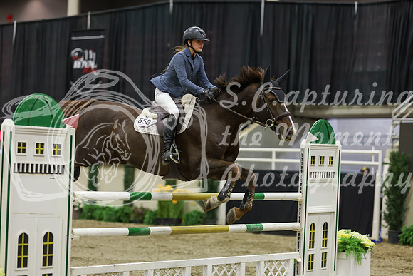 2025 - Shea - Royal West - Saturday October 25th - 06731