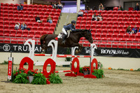 2025 - Shea - Royal West - Saturday October 25th - 06738
