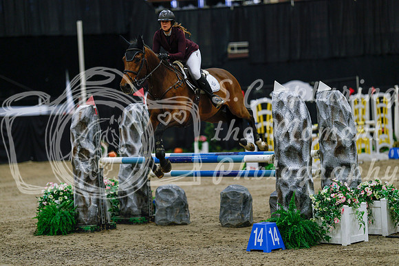 2025 - Haylee - Royal West - Saturday October 25th - 03246_1
