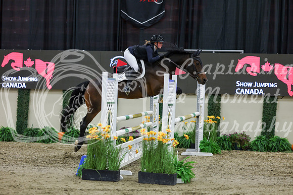 2025 - Shea - Royal West - Saturday October 25th - 01802