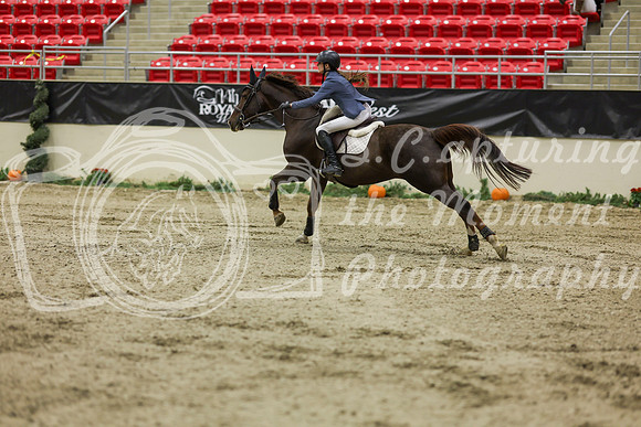 2025 - Shea - Royal West - Saturday October 25th - 07584