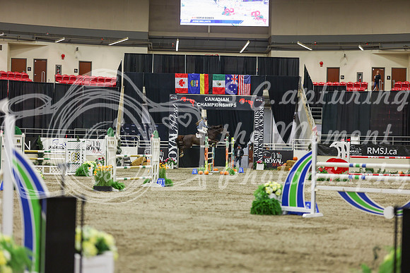 2025 - Shea - Royal West - Saturday October 25th - 07588
