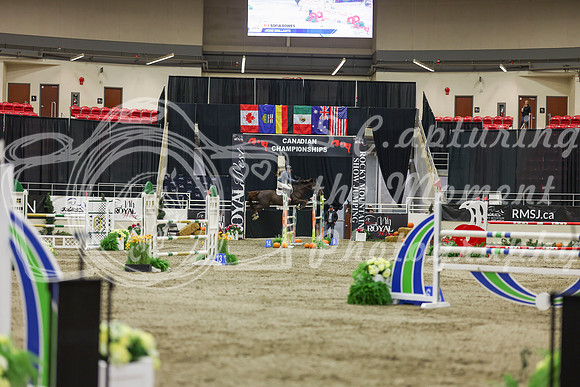 2025 - Shea - Royal West - Saturday October 25th - 07589