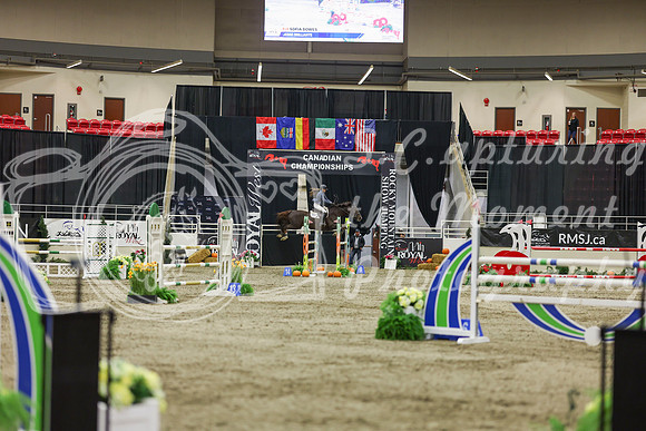 2025 - Shea - Royal West - Saturday October 25th - 07591