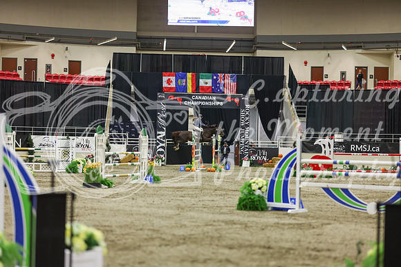 2025 - Shea - Royal West - Saturday October 25th - 07590