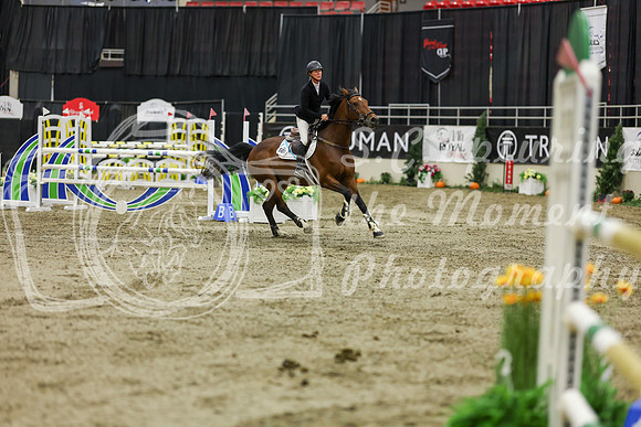 2025 - Shea - Royal West - Saturday October 25th - 07217