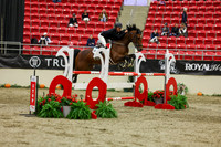 2025 - Shea - Royal West - Saturday October 25th - 07226