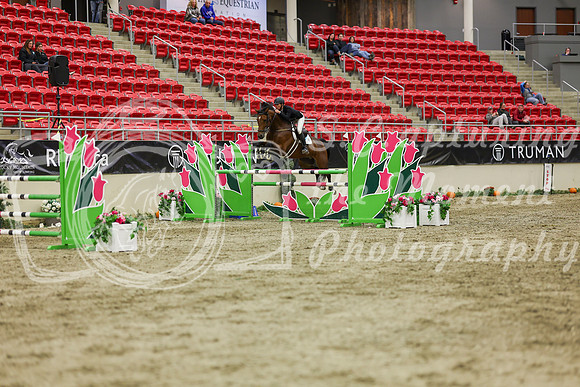 2025 - Shea - Royal West - Saturday October 25th - 07234