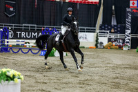 2025 - Shea - Royal West - Saturday October 25th - 02325